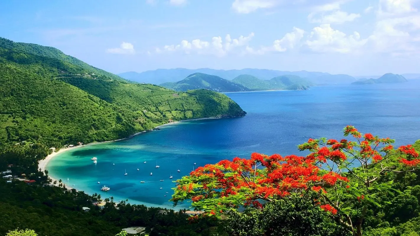 全自动节能